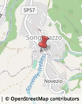 Imprese di Pulizia Songavazzo,24020Bergamo