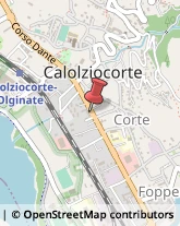 Autoscuole Calolziocorte,23801Lecco