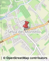 Articoli Sportivi - Dettaglio Volpago del Montello,31040Treviso