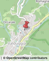 Caldaie per Riscaldamento Valduggia,13018Vercelli