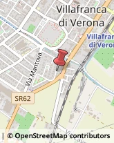 Animali Domestici - Toeletta Villafranca di Verona,37069Verona