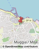 Pensioni Muggia,34015Trieste