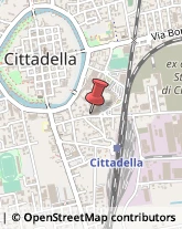 Articoli Sportivi - Dettaglio Cittadella,35013Padova