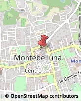 Istituti Finanziari Montebelluna,31044Treviso