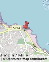 Agenzie Investigative Muggia,34015Trieste