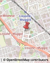 Palestre e Centri Fitness Lissone,20851Monza e Brianza