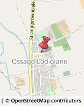 Pollame, Conigli e Selvaggina - Dettaglio Ossago Lodigiano,26816Lodi