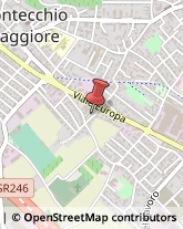 Feste - Organizzazione e Servizi Montecchio Maggiore,36075Vicenza