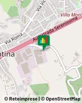 Trasporti Internazionali Altavilla Vicentina,36077Vicenza
