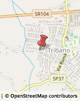 Autotrasporti Tribano,35020Padova