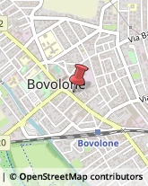 Agopuntura Bovolone,37051Verona