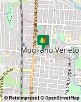 Borse - Dettaglio Mogliano Veneto,31021Treviso