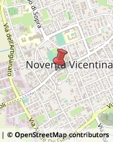 Vivai Piante e Fiori Noventa Vicentina,36025Vicenza