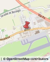 Biotecnologie Treviso,31100Treviso