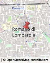 Rosticcerie e Salumerie Romano di Lombardia,24058Bergamo