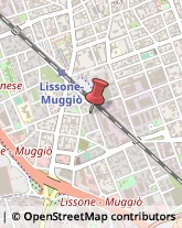 Geometri Lissone,20851Monza e Brianza