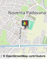 Articoli Sportivi - Dettaglio Noventa Padovana,35027Padova