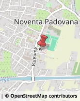 Articoli Sportivi - Dettaglio Noventa Padovana,35027Padova