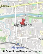 Animali Domestici - Toeletta Alpignano,10091Torino