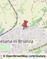 Concimi e Fertilizzanti Besana in Brianza,20842Monza e Brianza