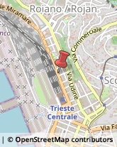 Psicologi Trieste,34135Trieste