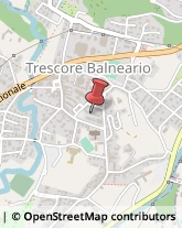 Gas, Metano e Gpl in Bombole e per Serbatoi - Dettaglio Trescore Balneario,24069Bergamo