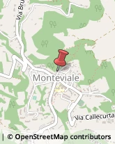 Calcolatrici Monteviale,36050Vicenza