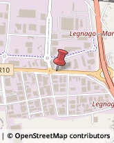 Erboristerie Legnago,37045Verona