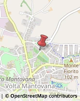 ,46049Mantova