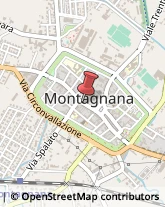Alimentari Montagnana,35044Padova