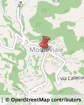 Comuni e Servizi Comunali Monteviale,36050Vicenza