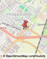 Campeggi, Villaggi Turistici e Ostelli,24127Bergamo