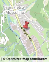 Concerie e Tintorie pellami e cuoio San Pietro Mussolino,36070Vicenza