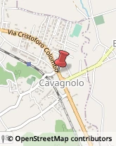 Autolinee Cavagnolo,10020Torino