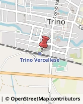 Autolinee Trino,13039Vercelli