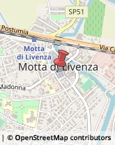 Commercialisti Motta di Livenza,31045Treviso