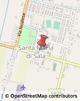 Notai Santa Maria di Sala,30036Venezia