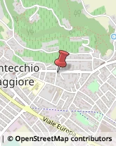 Laboratori Odontotecnici,36075Vicenza