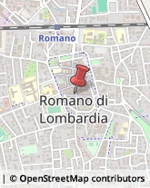 Erboristerie Romano di Lombardia,24058Bergamo