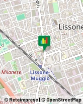 Consulenza Informatica Lissone,20851Monza e Brianza