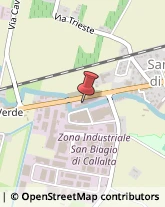 Autofficine e Centri Assistenza San Biagio di Callalta,31048Treviso