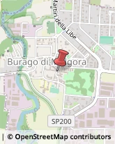 Danza - Articoli Burago di Molgora,20875Monza e Brianza