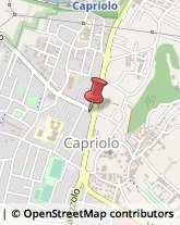 Tende e Tendaggi Capriolo,25031Brescia