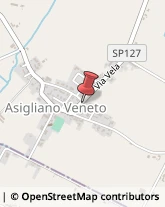 Carrozzerie Automobili Asigliano Veneto,36020Vicenza