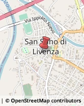 Associazioni ed Istituti di Previdenza ed Assistenza San Stino di Livenza,30029Venezia