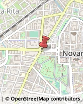 Bulbi e Sementi Novara,28100Novara