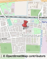 Geometri Torviscosa,33050Udine