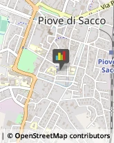 Scuole Pubbliche Piove di Sacco,35028Padova