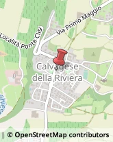 Farmacie Calvagese della Riviera,25080Brescia