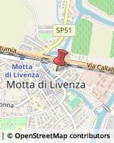 Locali, Birrerie e Pub Motta di Livenza,31045Treviso